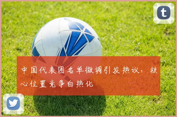 中国代表团名单微调引发热议，核心位置竞争白热化