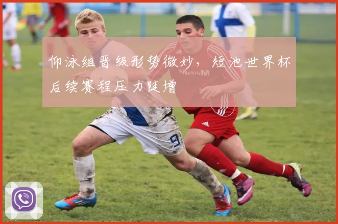 仰泳组晋级形势微妙，短池世界杯后续赛程压力陡增