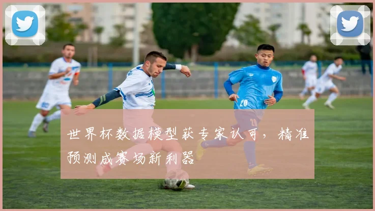 世界杯数据模型获专家认可，精准预测成赛场新利器