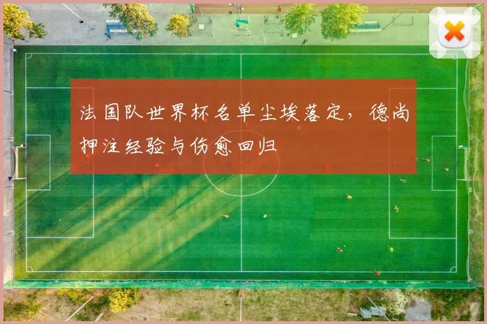 法国队世界杯名单尘埃落定，德尚押注经验与伤愈回归