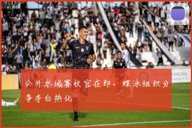 公开水域赛收官在即，蝶泳组积分争夺白热化