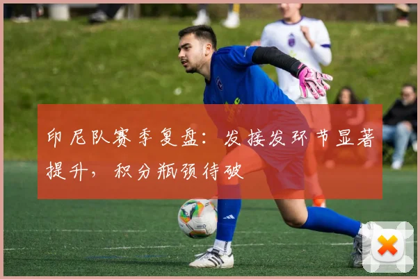 印尼队赛季复盘：发接发环节显著提升，积分瓶颈待破